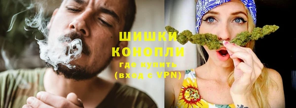 PSILOCYBIN Вязники