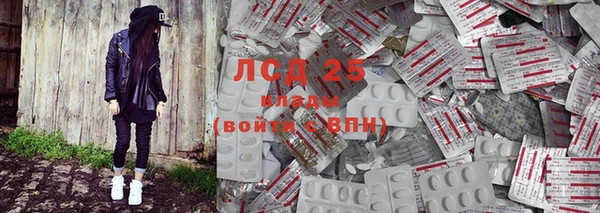 шишки Горно-Алтайск