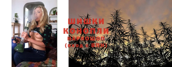 PSILOCYBIN Вязники