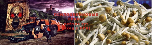 скорость Вязьма