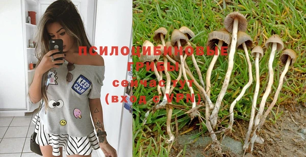 марихуана Вяземский