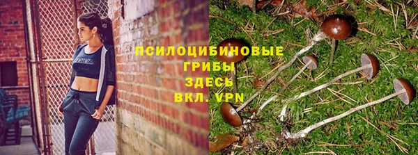 скорость Вязьма